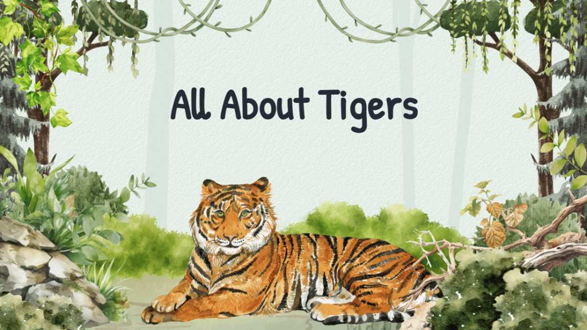 All About Tigers! with tiger, forest, vines, trees, rocks, and centered bold title.