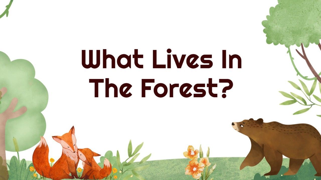 What Lives in the Forest? Presentation Templates