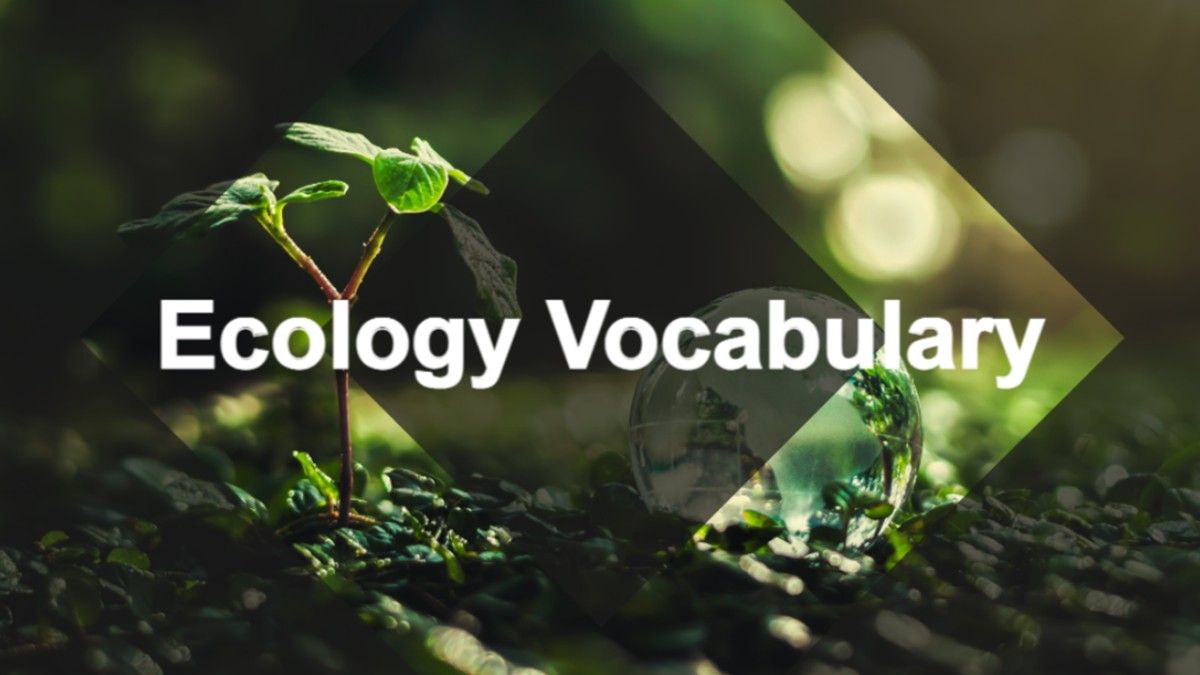 Ecology Vocabulary Presentation Template