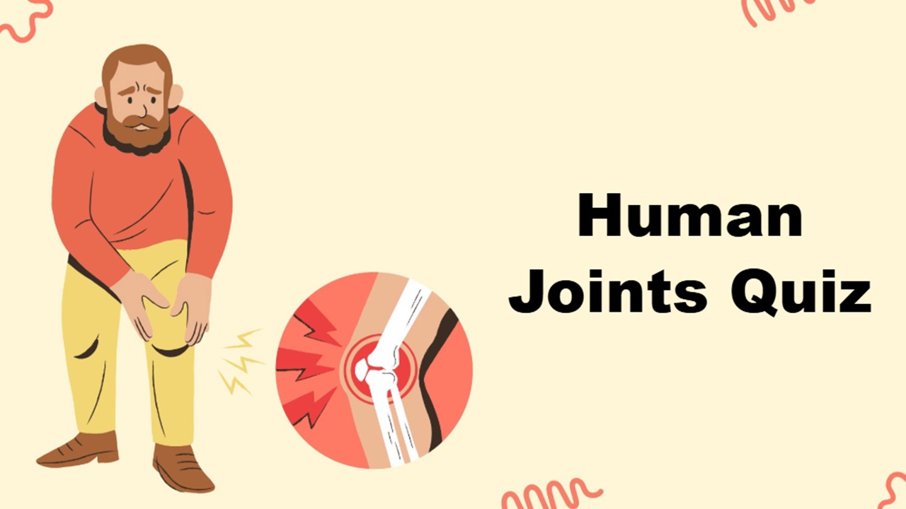 Human Joints Quiz cover with a man, knee graphic, bold text, and red accents.