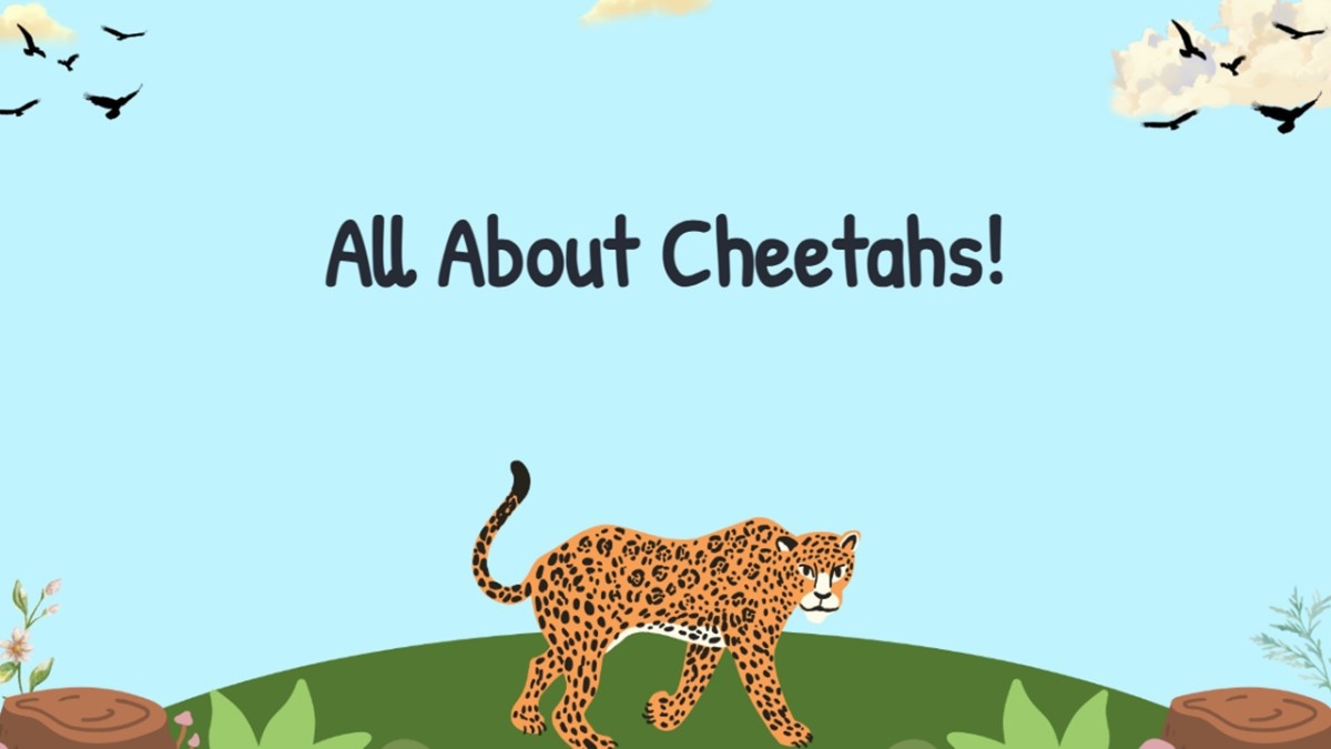 All About Cheetahs! with cheetah, blue sky, birds, green hill, plants, logs, and title.
