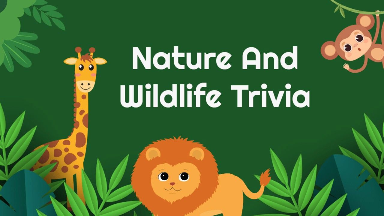 Nature And Wildlife Trivia Presentation Templates