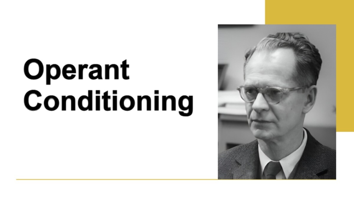 Operant Conditioning Presentation Templates