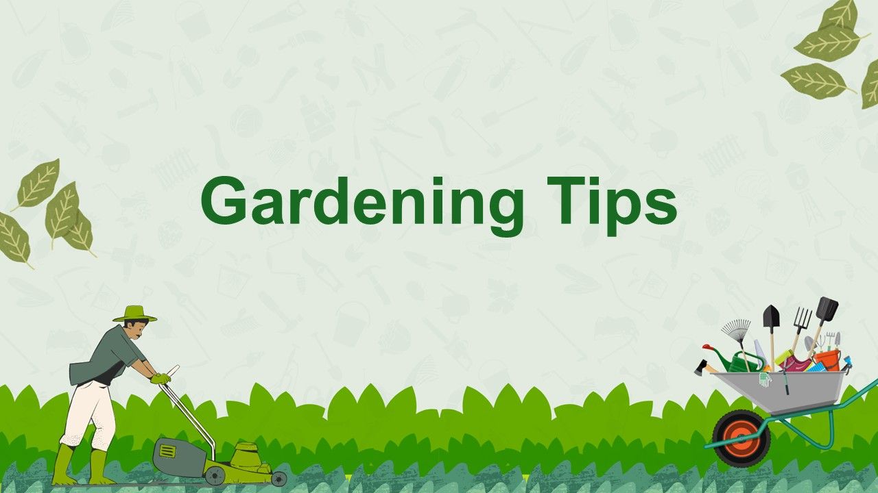 Gardening Tips Presentation Template