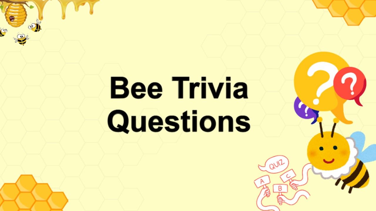 Bee Trivia Questions Quiz Template