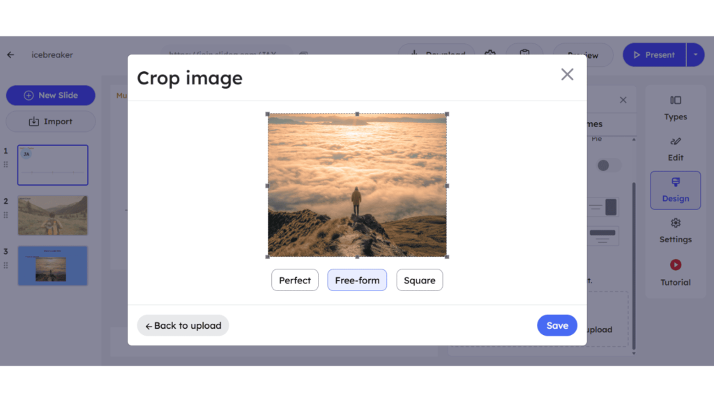 Crop and Adjust Your Image